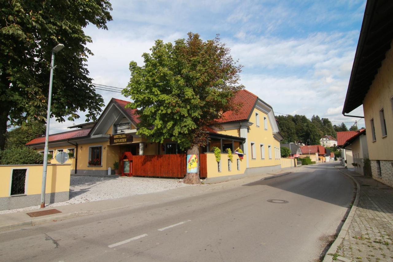 Penzion Repansek Radomlje Екстериор снимка